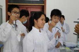 img5